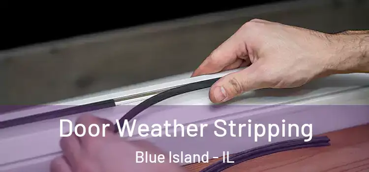 Door Weather Stripping Blue Island - IL