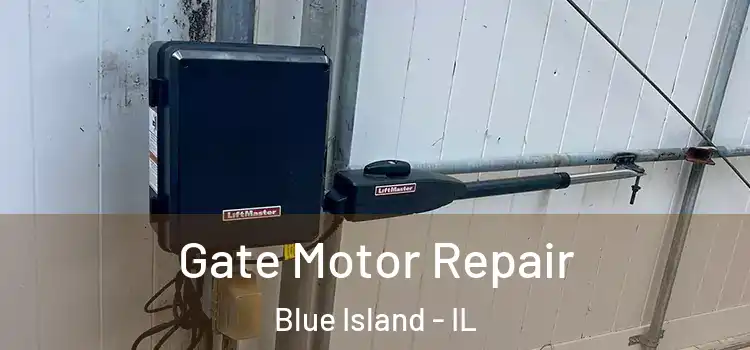 Gate Motor Repair Blue Island - IL
